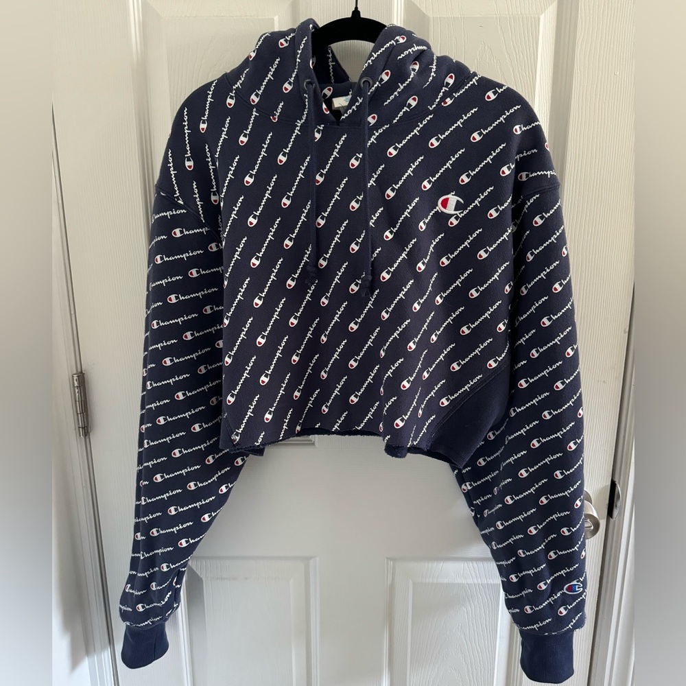 Champion Logo Cropped Hoodie